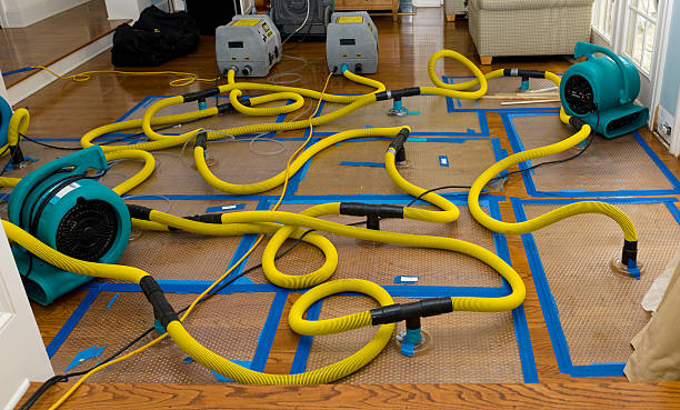 Professional Basement Flood Cleanup technician working in Ogdensburg, NY